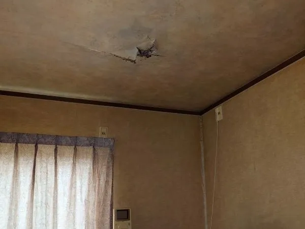 管理できなくなった家を売却した写真